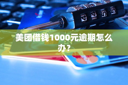 美团借钱1000元逾期怎么办？