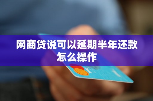 网商贷说可以延期半年还款怎么操作