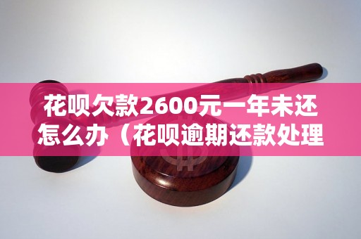 花呗欠款2600元一年未还怎么办（花呗逾期还款处理方式）