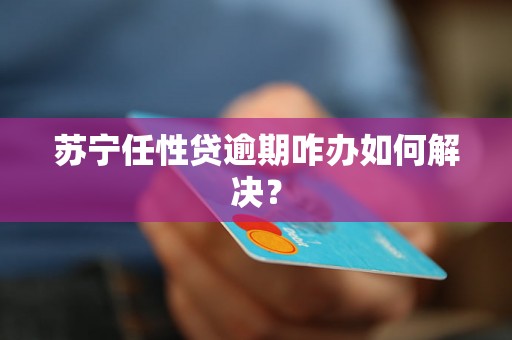 苏宁任性贷逾期咋办如何解决？