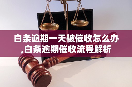 白条逾期一天被催收怎么办,白条逾期催收流程解析