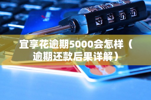 宜享花逾期5000会怎样（逾期还款后果详解）