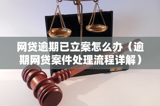 网贷逾期已立案怎么办（逾期网贷案件处理流程详解）