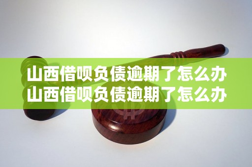 山西借呗负债逾期了怎么办山西借呗负债逾期了怎么办