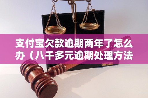 支付宝欠款逾期两年了怎么办（八千多元逾期处理方法）