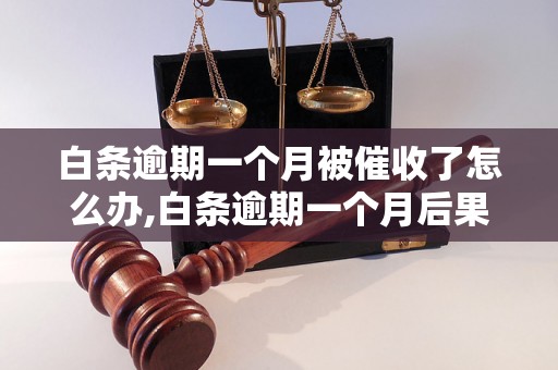 白条逾期一个月被催收了怎么办,白条逾期一个月后果严重吗