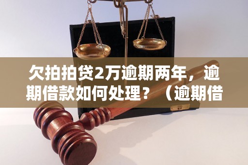 欠拍拍贷2万逾期两年，逾期借款如何处理？（逾期借款后果及解决方法）