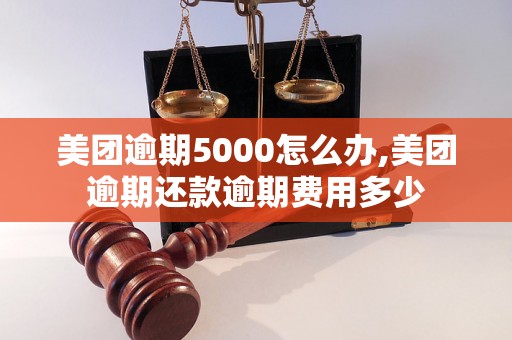 美团逾期5000怎么办,美团逾期还款逾期费用多少