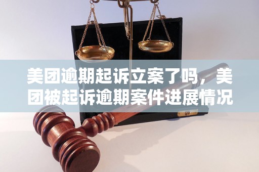 美团逾期起诉立案了吗，美团被起诉逾期案件进展情况解析