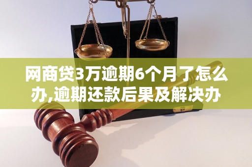 网商贷3万逾期6个月了怎么办,逾期还款后果及解决办法