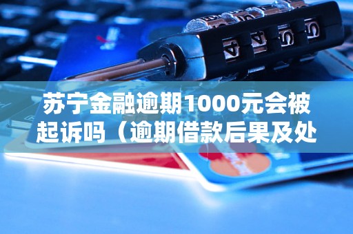 苏宁金融逾期1000元会被起诉吗（逾期借款后果及处理方法）