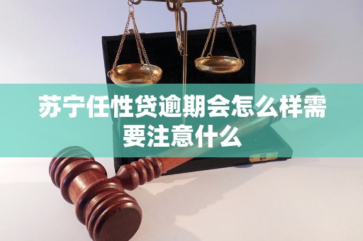 苏宁任性贷逾期会怎么样需要注意什么