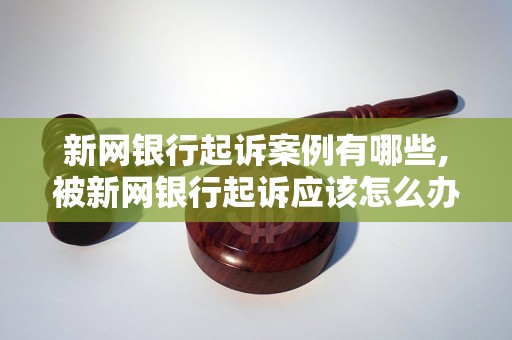 新网银行起诉案例有哪些,被新网银行起诉应该怎么办