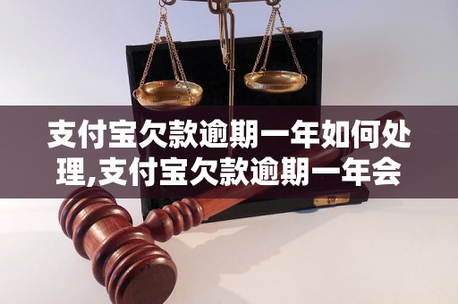 支付宝欠款逾期一年如何处理,支付宝欠款逾期一年会有什么后果