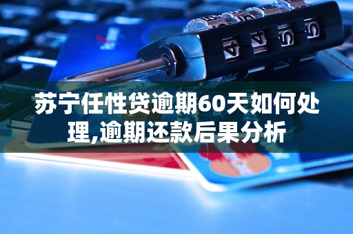 苏宁任性贷逾期60天如何处理,逾期还款后果分析