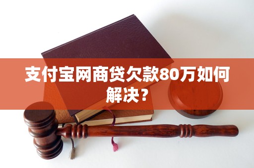 支付宝网商贷欠款80万如何解决？