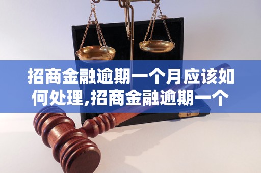 招商金融逾期一个月应该如何处理,招商金融逾期一个月后果严重吗