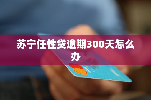 苏宁任性贷逾期300天怎么办