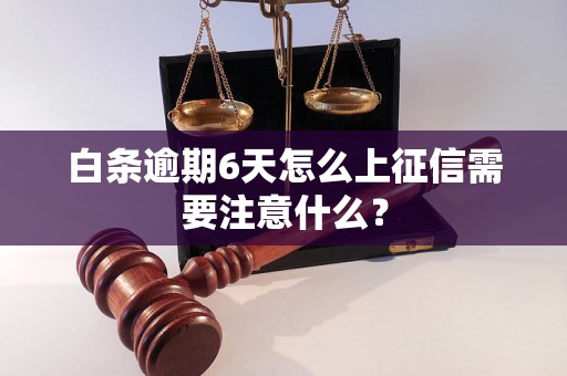 白条逾期6天怎么上征信需要注意什么？