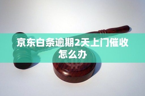 京东白条逾期2天上门催收怎么办