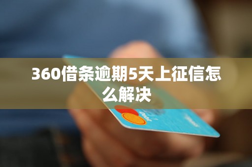 360借条逾期5天上征信怎么解决