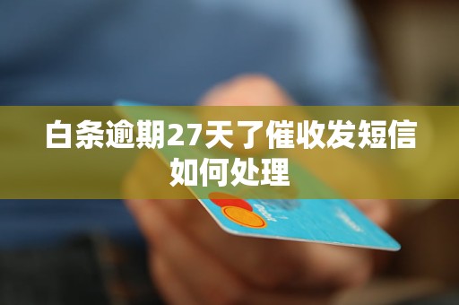 白条逾期27天了催收发短信如何处理