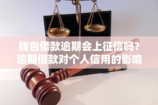 钱包借款逾期会上征信吗？逾期借款对个人信用的影响有多大？