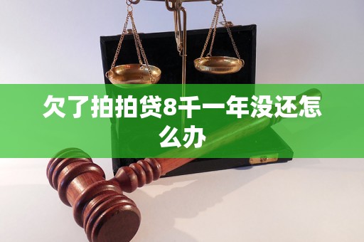 欠了拍拍贷8千一年没还怎么办