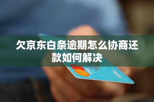 欠京东白条逾期怎么协商还款如何解决