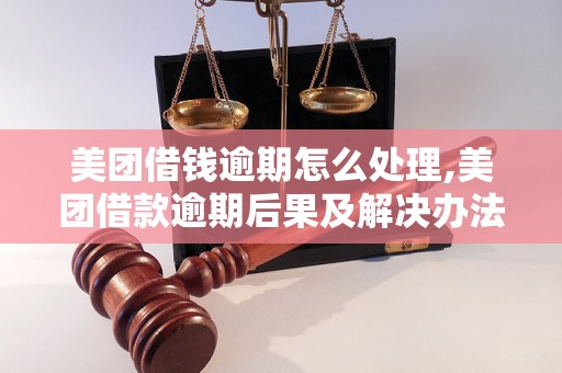 美团借钱逾期怎么处理,美团借款逾期后果及解决办法