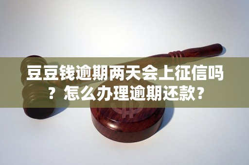 豆豆钱逾期两天会上征信吗？怎么办理逾期还款？