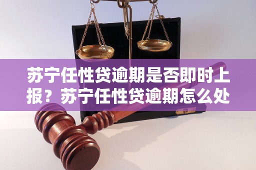 苏宁任性贷逾期是否即时上报？苏宁任性贷逾期怎么处理？