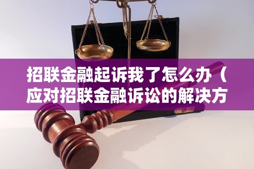 招联金融起诉我了怎么办（应对招联金融诉讼的解决方法）