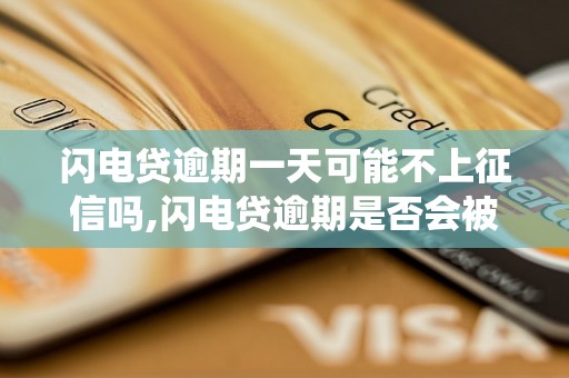 闪电贷逾期一天可能不上征信吗,闪电贷逾期是否会被记录在征信系统中