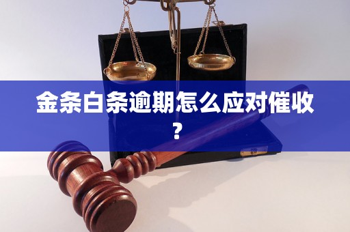 金条白条逾期怎么应对催收？