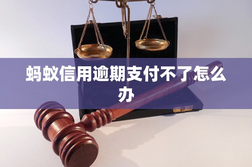 蚂蚁信用逾期支付不了怎么办