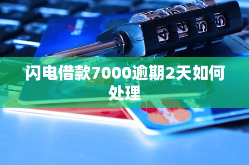 闪电借款7000逾期2天如何处理