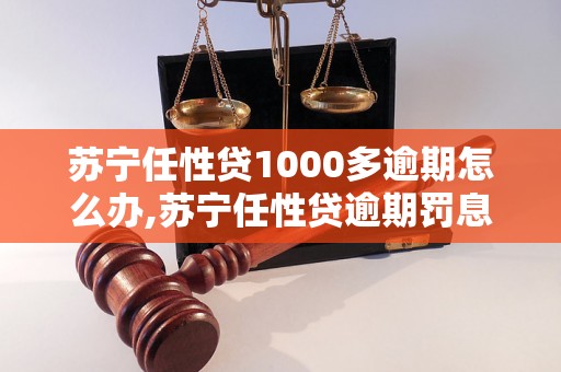 苏宁任性贷1000多逾期怎么办,苏宁任性贷逾期罚息计算方法