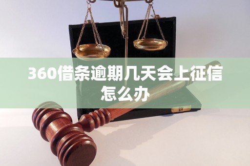 360借条逾期几天会上征信怎么办