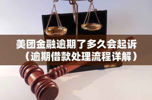 美团金融逾期了多久会起诉（逾期借款处理流程详解）