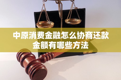 中原消费金融怎么协商还款金额有哪些方法