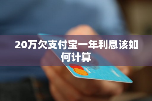 20万欠支付宝一年利息该如何计算