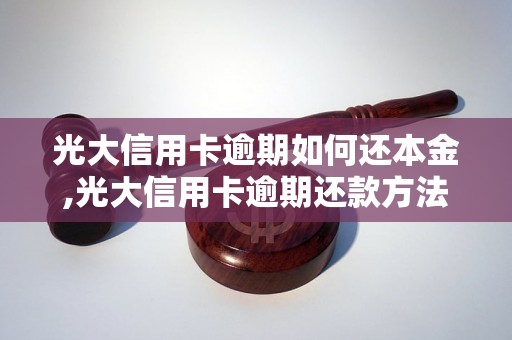 光大信用卡逾期如何还本金,光大信用卡逾期还款方法