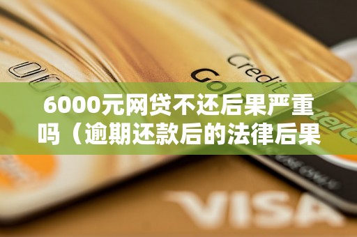 6000元网贷不还后果严重吗（逾期还款后的法律后果）