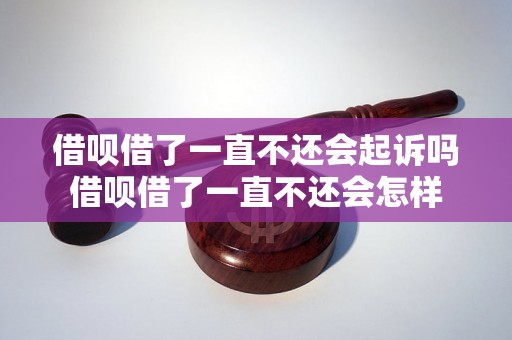 借呗借了一直不还会起诉吗借呗借了一直不还会怎样