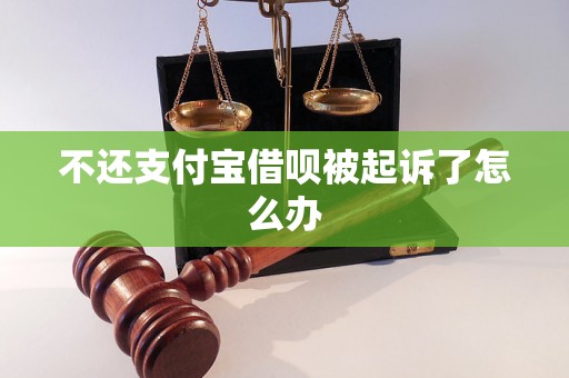 不还支付宝借呗被起诉了怎么办