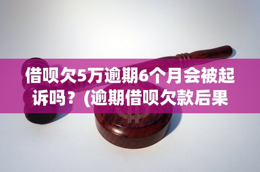 借呗欠5万逾期6个月会被起诉吗？(逾期借呗欠款后果解析)