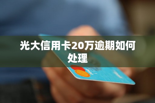 光大信用卡20万逾期如何处理