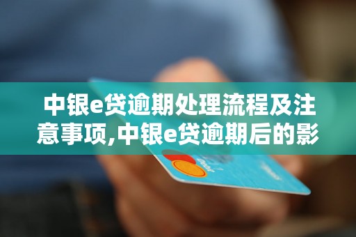 中银e贷逾期处理流程及注意事项,中银e贷逾期后的影响及解决方法