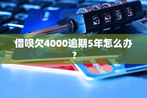 借呗欠4000逾期5年怎么办？